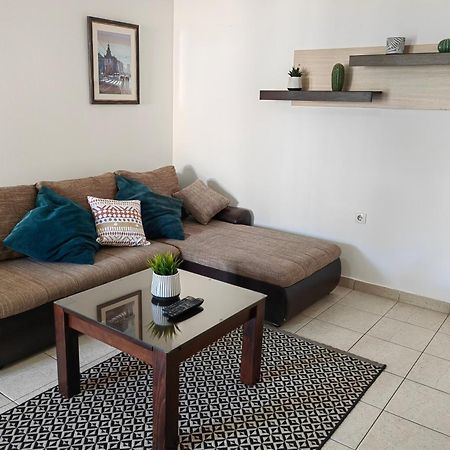 Orient Apartman Sremska Kamenica Esterno foto
